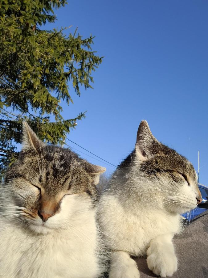 Uroczysko Skomackie Comuna de Comuna de Stare Juchy Exterior foto